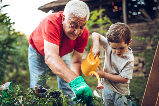 Keep IHT away from pensions