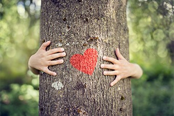 Tree with heart