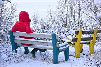 Bench in Snow