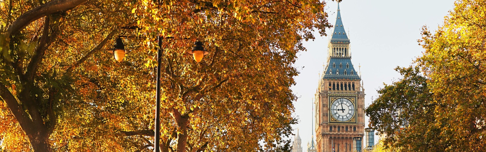 Big Ben autumn leaves