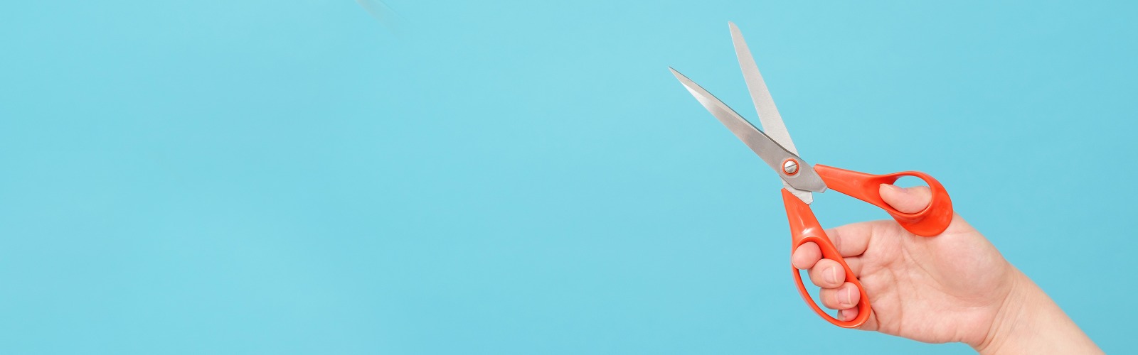 Scissors