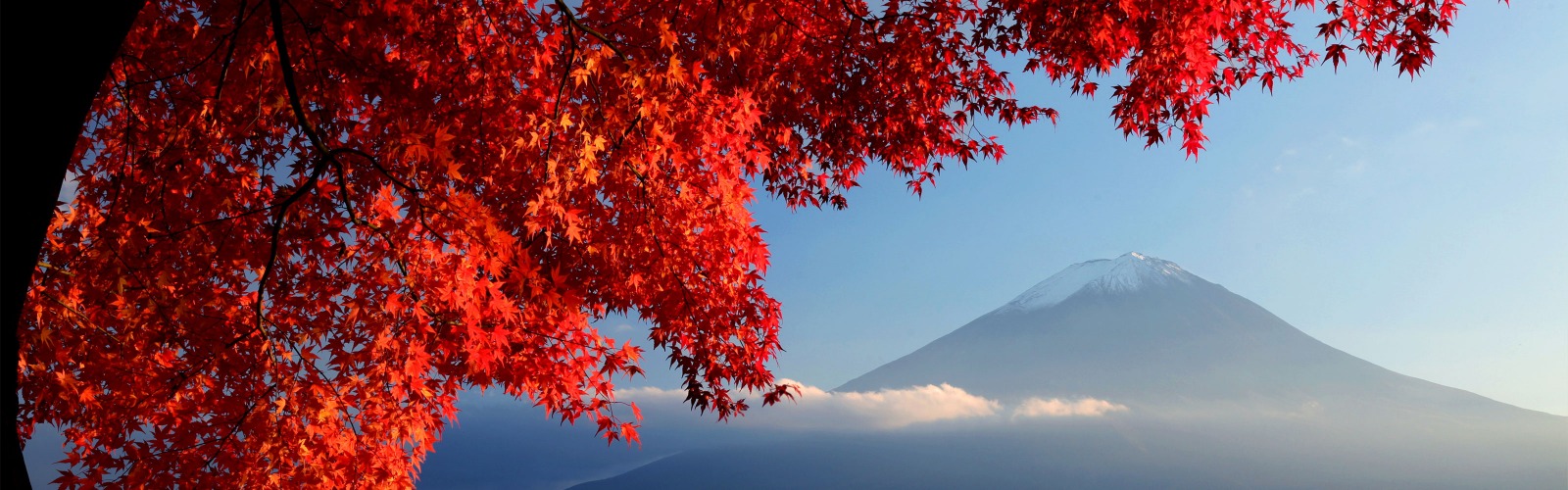 Mount Fuji