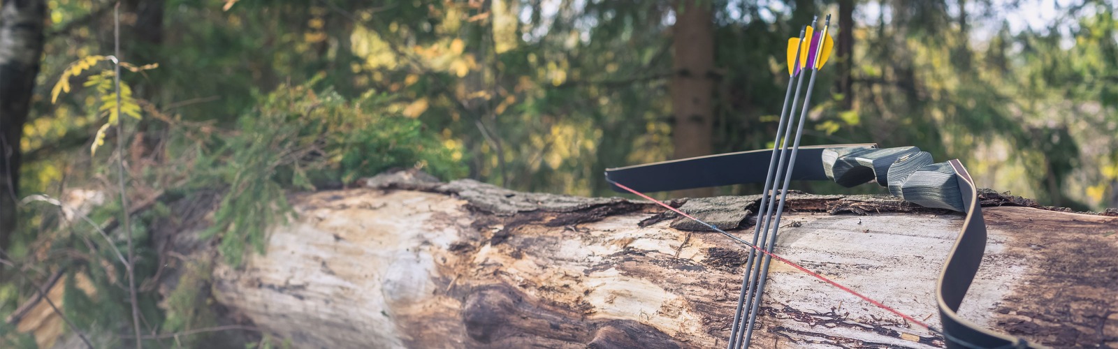 Robin-Hood_Infocentre_banner