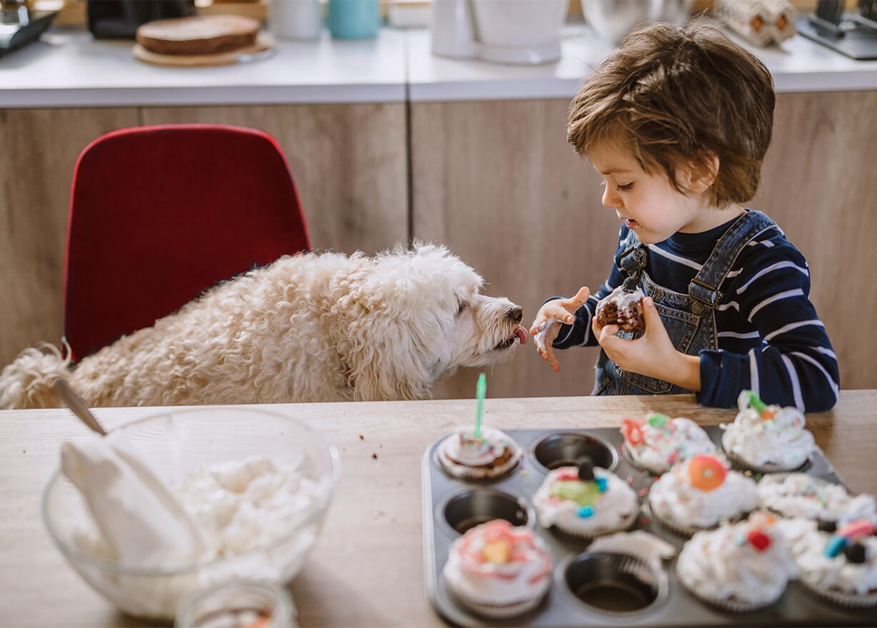 Boy feeding dog cake